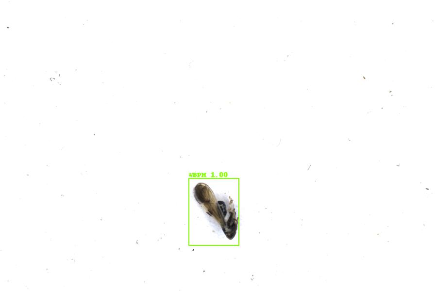 Image 63